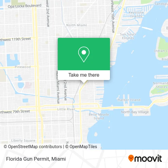 Florida Gun Permit map