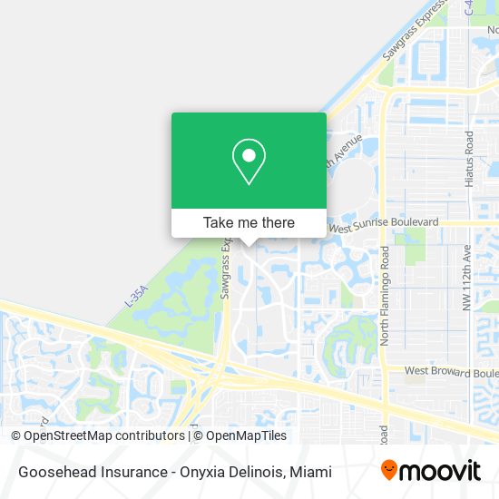 Goosehead Insurance - Onyxia Delinois map