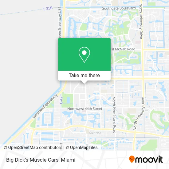 Big Dick's Muscle Cars map