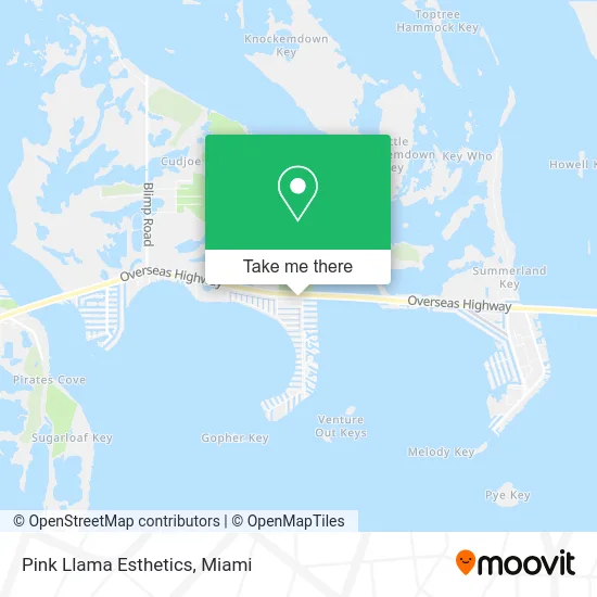 Pink Llama Esthetics map