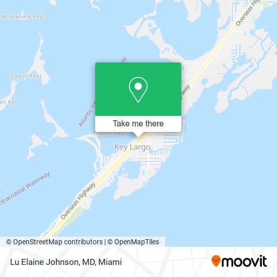 Mapa de Lu Elaine Johnson, MD