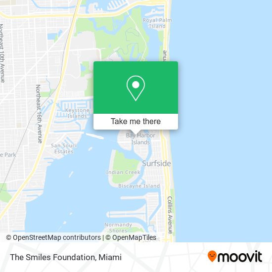 The Smiles Foundation map