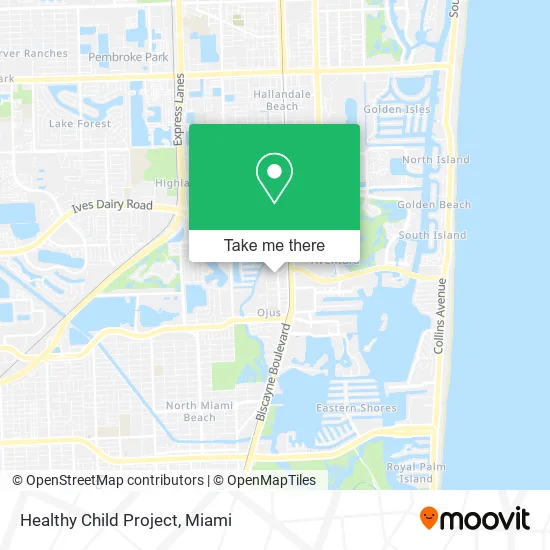 Healthy Child Project map