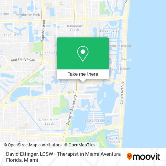 Mapa de David Ettinger, LCSW - Therapist in Miami Aventura Florida