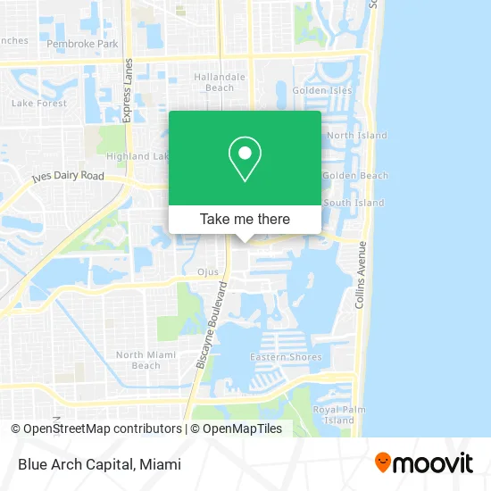 Blue Arch Capital map