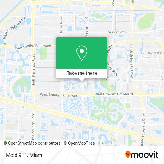 Mold 911 map