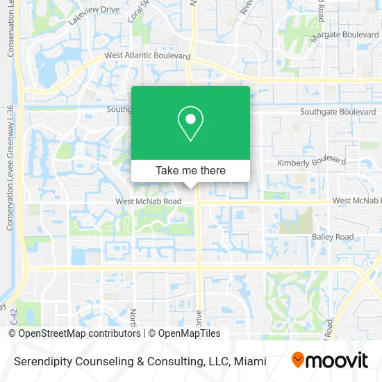Serendipity Counseling & Consulting, LLC map