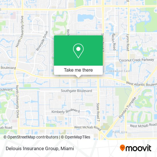 Delouis Insurance Group map