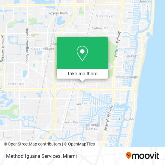 Method Iguana Services map