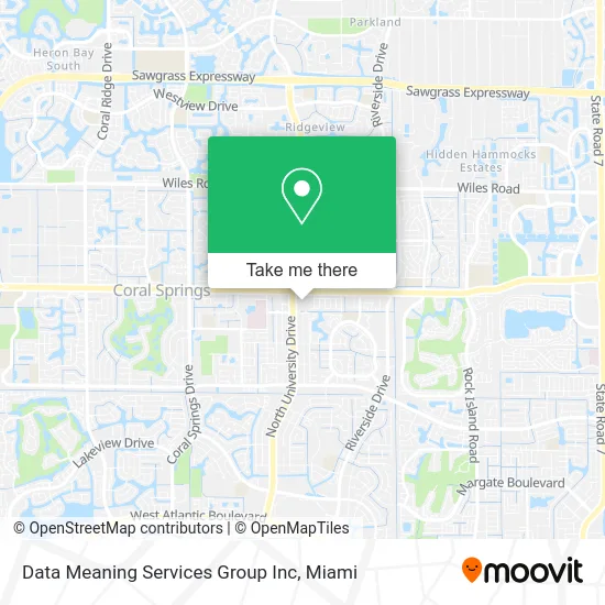 Data Meaning Services Group Inc map