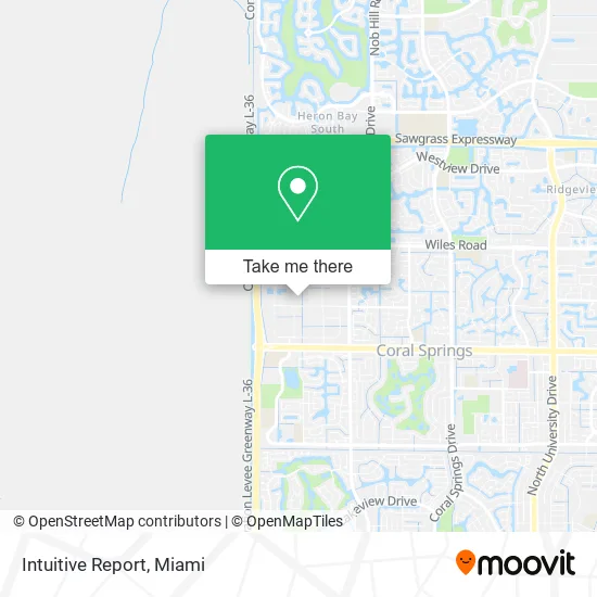 Intuitive Report map