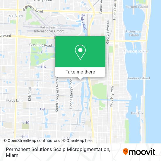 Permanent Solutions Scalp Micropigmentation map