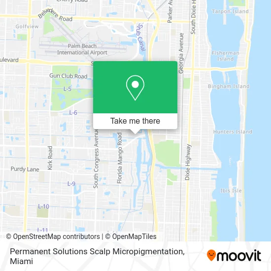 Permanent Solutions Scalp Micropigmentation map