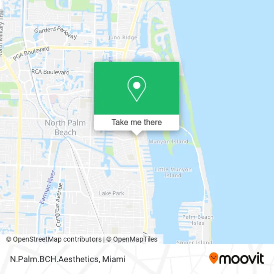 N.Palm.BCH.Aesthetics map