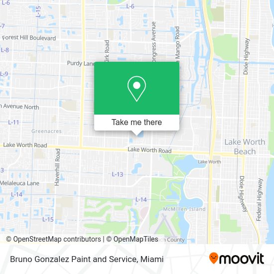 Bruno Gonzalez Paint and Service map