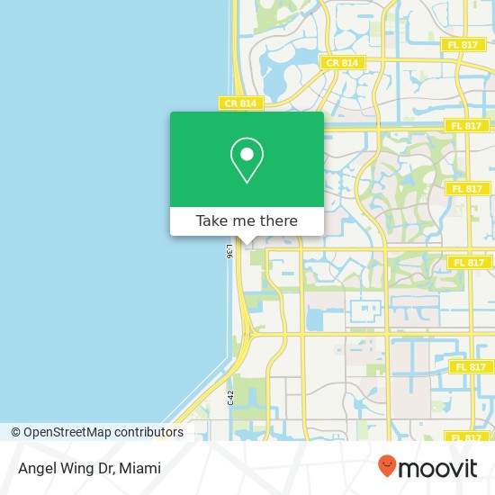 Angel Wing Dr map