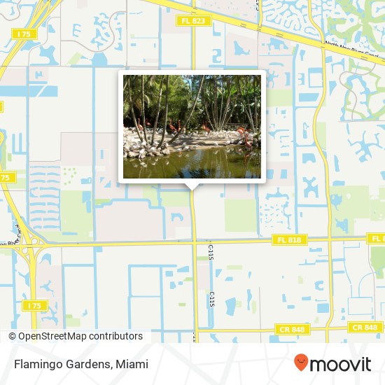 Mapa de Flamingo Gardens