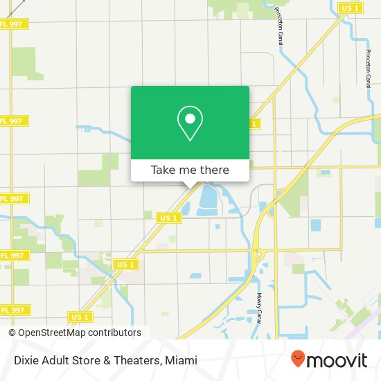 Dixie Adult Store & Theaters map