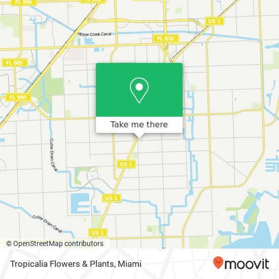 Tropicalia Flowers & Plants map