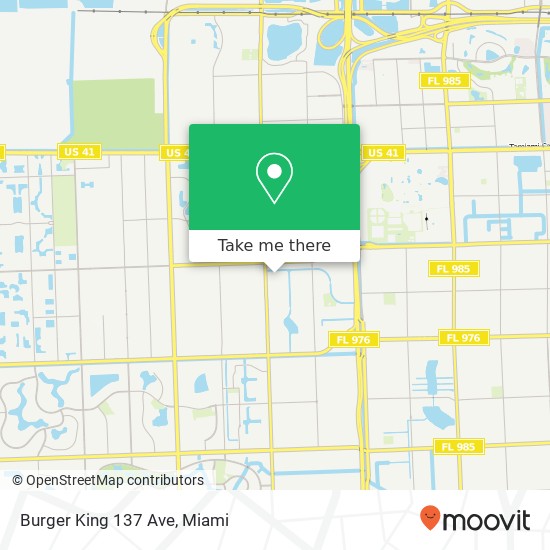 Burger King 137 Ave map