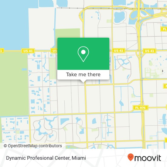 Dynamic Profesional Center map