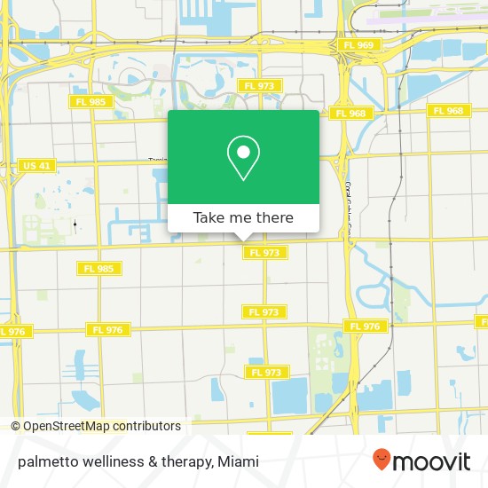 palmetto welliness & therapy map