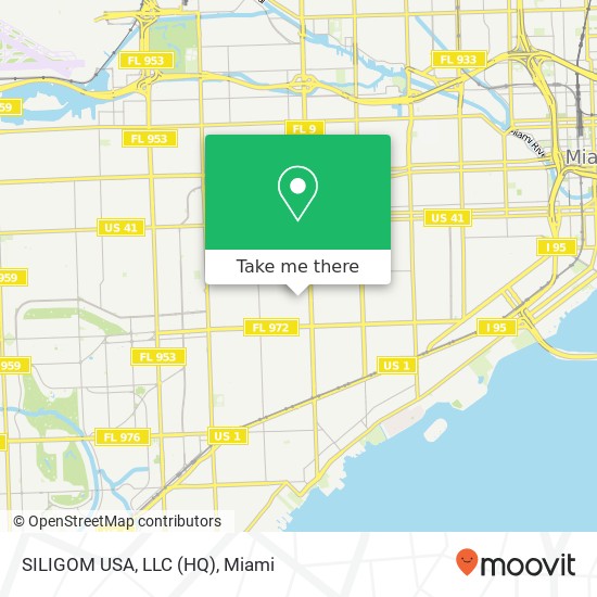 Mapa de SILIGOM USA, LLC (HQ)