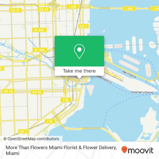 Mapa de More Than Flowers Miami Florist & Flower Delivery