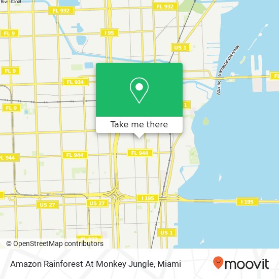 Amazon Rainforest At Monkey Jungle map