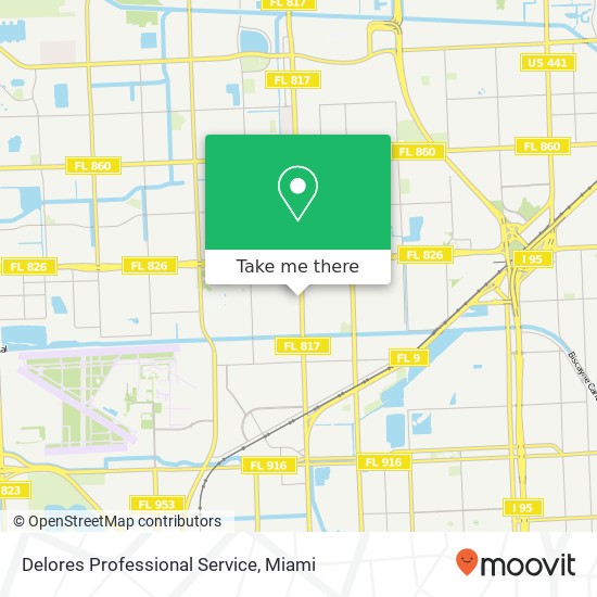 Delores Professional Service map