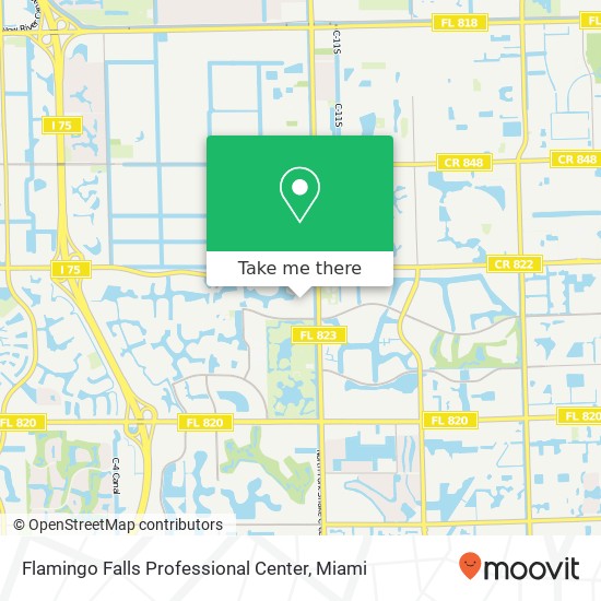 Mapa de Flamingo Falls Professional Center