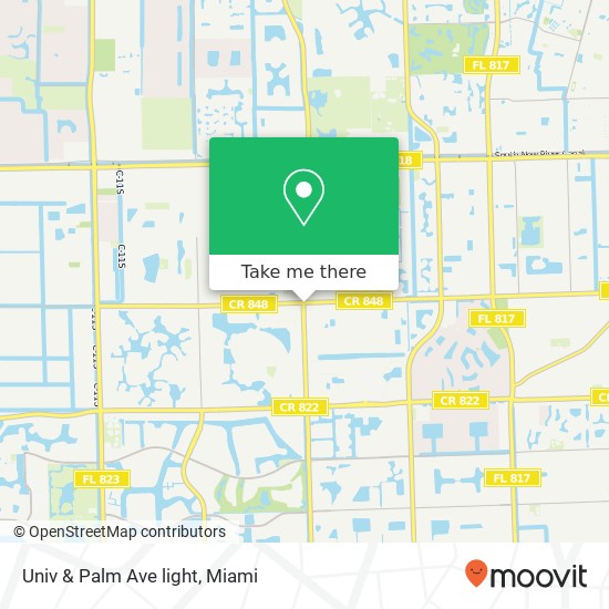 Univ & Palm Ave light map
