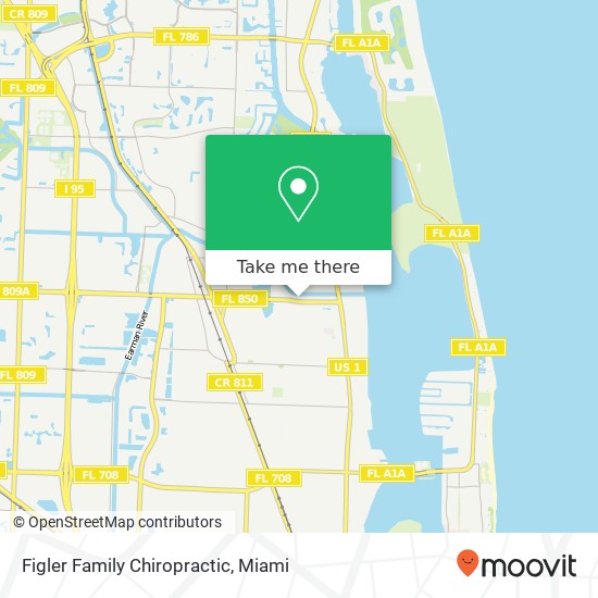 Figler Family Chiropractic map