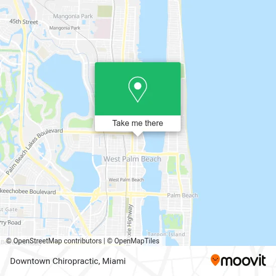Downtown Chiropractic map