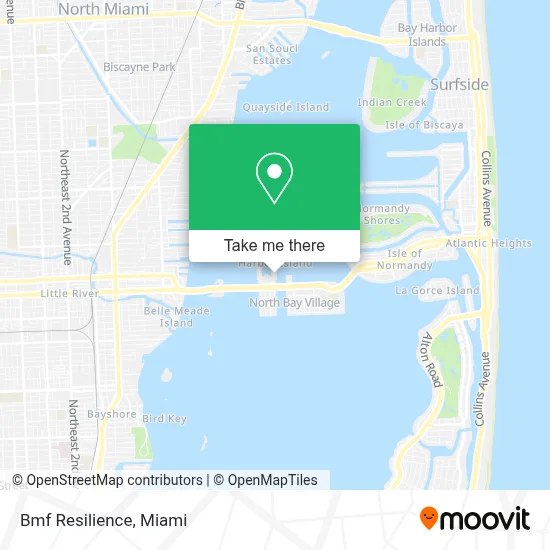 Bmf Resilience map