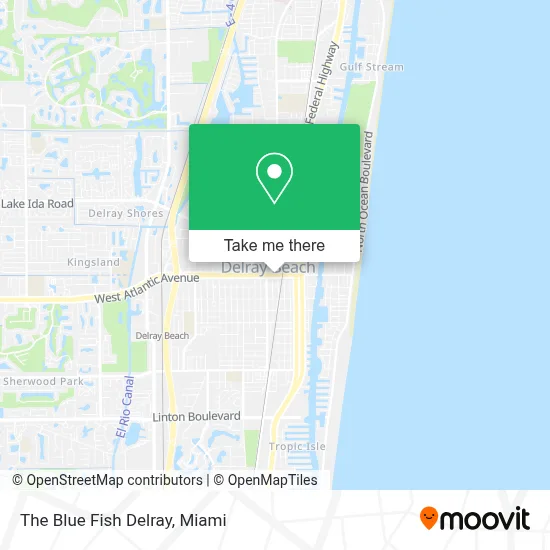 The Blue Fish Delray map