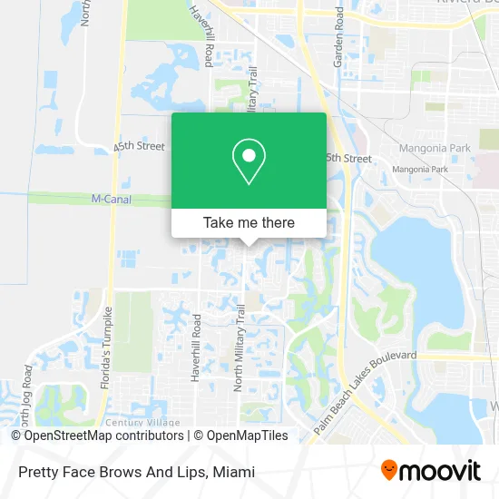 Pretty Face Brows And Lips map