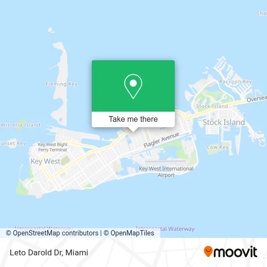 Leto Darold Dr map