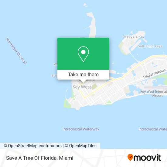 Save A Tree Of Florida map