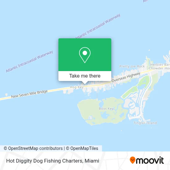 Hot Diggity Dog Fishing Charters map