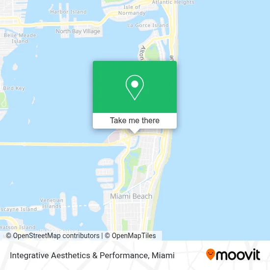 Integrative Aesthetics & Performance map