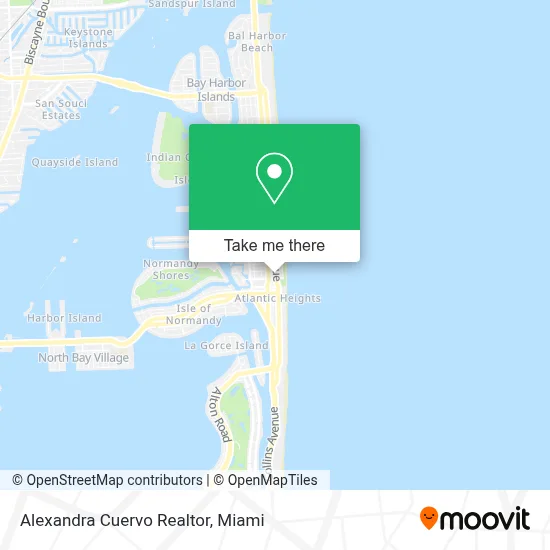 Alexandra Cuervo Realtor map