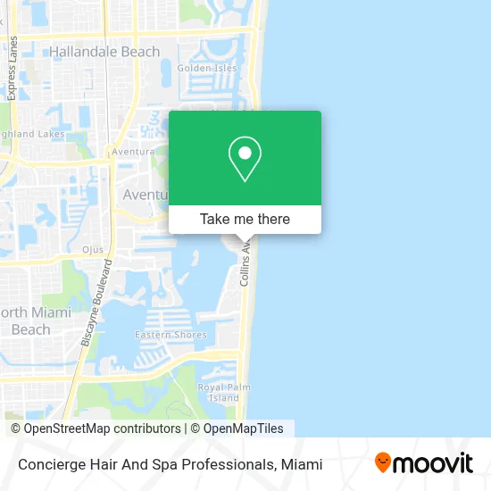 Concierge Hair And Spa Professionals map