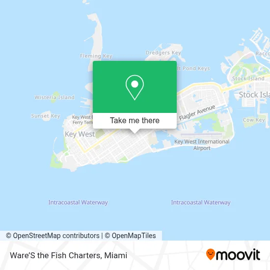 Ware’S the Fish Charters map