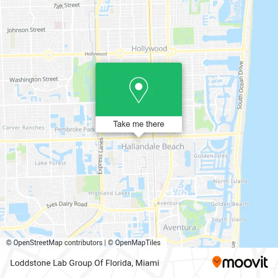 Loddstone Lab Group Of Florida map