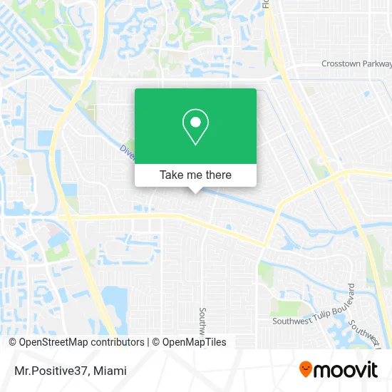 Mr.Positive37 map