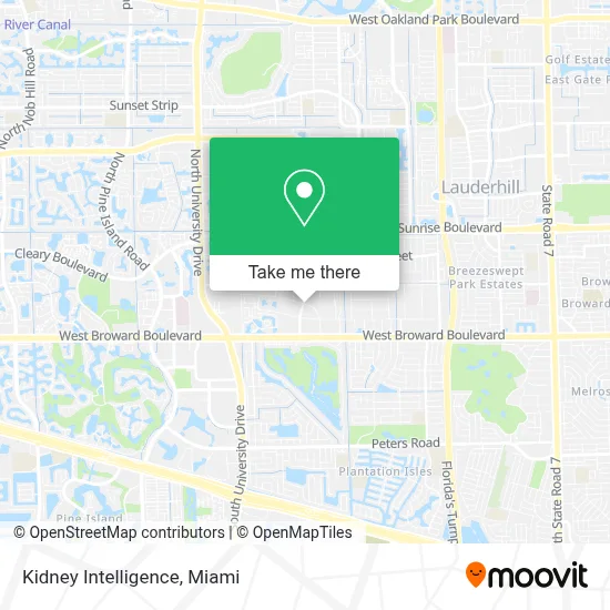 Kidney Intelligence map