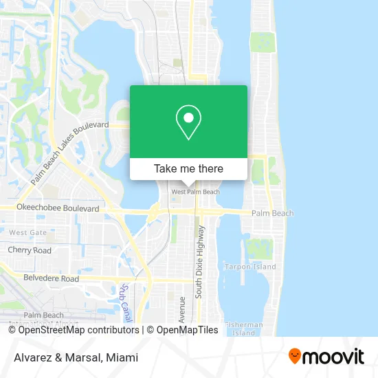 Alvarez & Marsal map