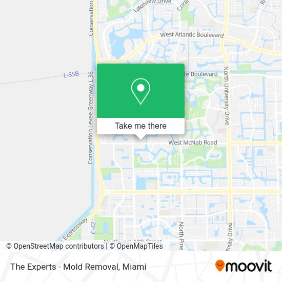 The Experts - Mold Removal map