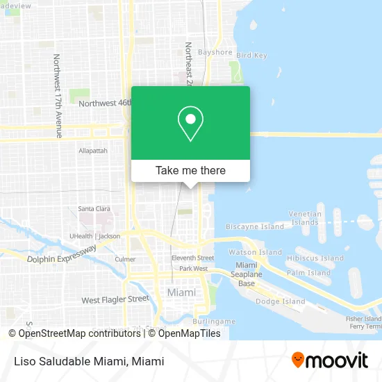 Liso Saludable Miami map